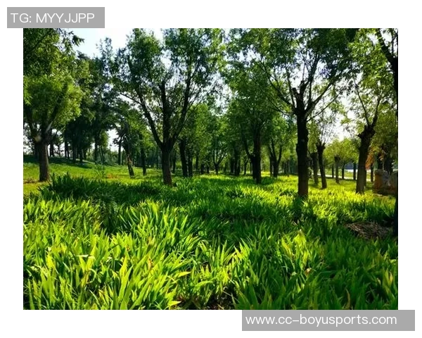 德科祝贺阿尔巴职业生涯圆满结束期待他未来的辉煌成就