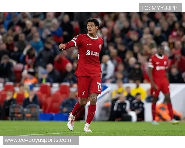 利物浦冬窗引援迫在眉睫中卫人手不足戈麦斯伤病成隐患