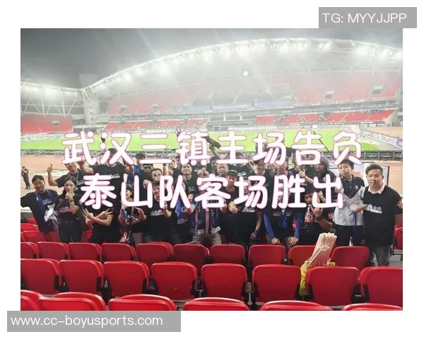 武汉三镇主场迎战泰山省内高校学生享受特惠票价仅需15元